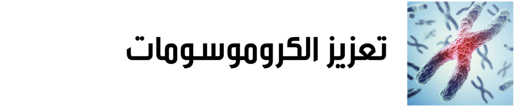 تحتوي هذه الصورة على سمة alt فارغة؛ اسم الملف هو Sans-tit-1024x215.png