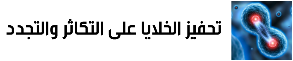 تحتوي هذه الصورة على سمة alt فارغة؛ اسم الملف هو Sas-tis-tita-1024x214.png