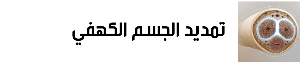 تحتوي هذه الصورة على سمة alt فارغة؛ اسم الملف هو Sas-tit-1024x215.png