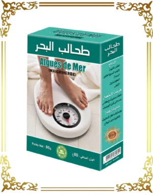 طحالب البحر