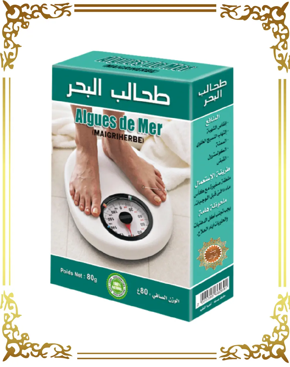 طحالب البحر