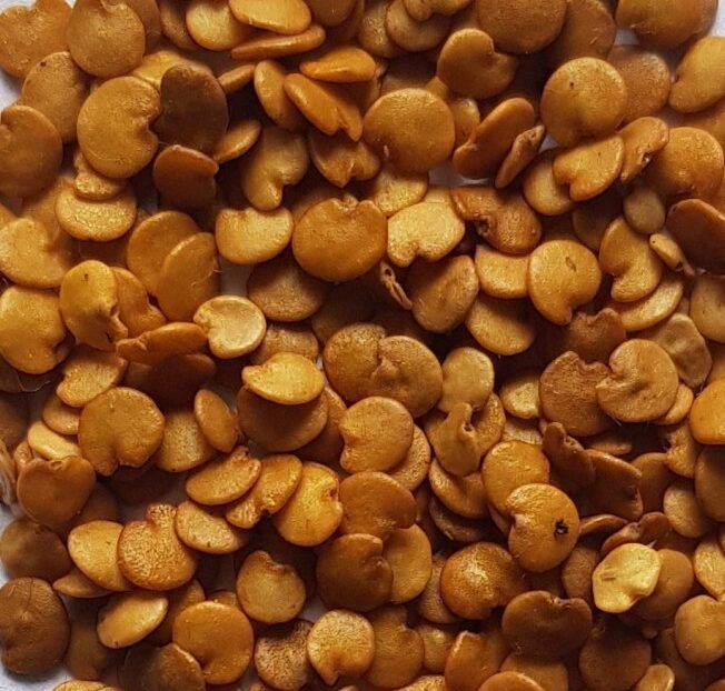 بذور الباذنجان