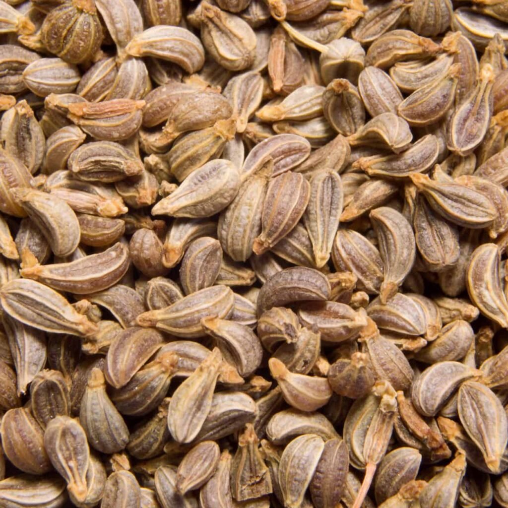 بذور البقدونس