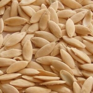 بذور الخيار