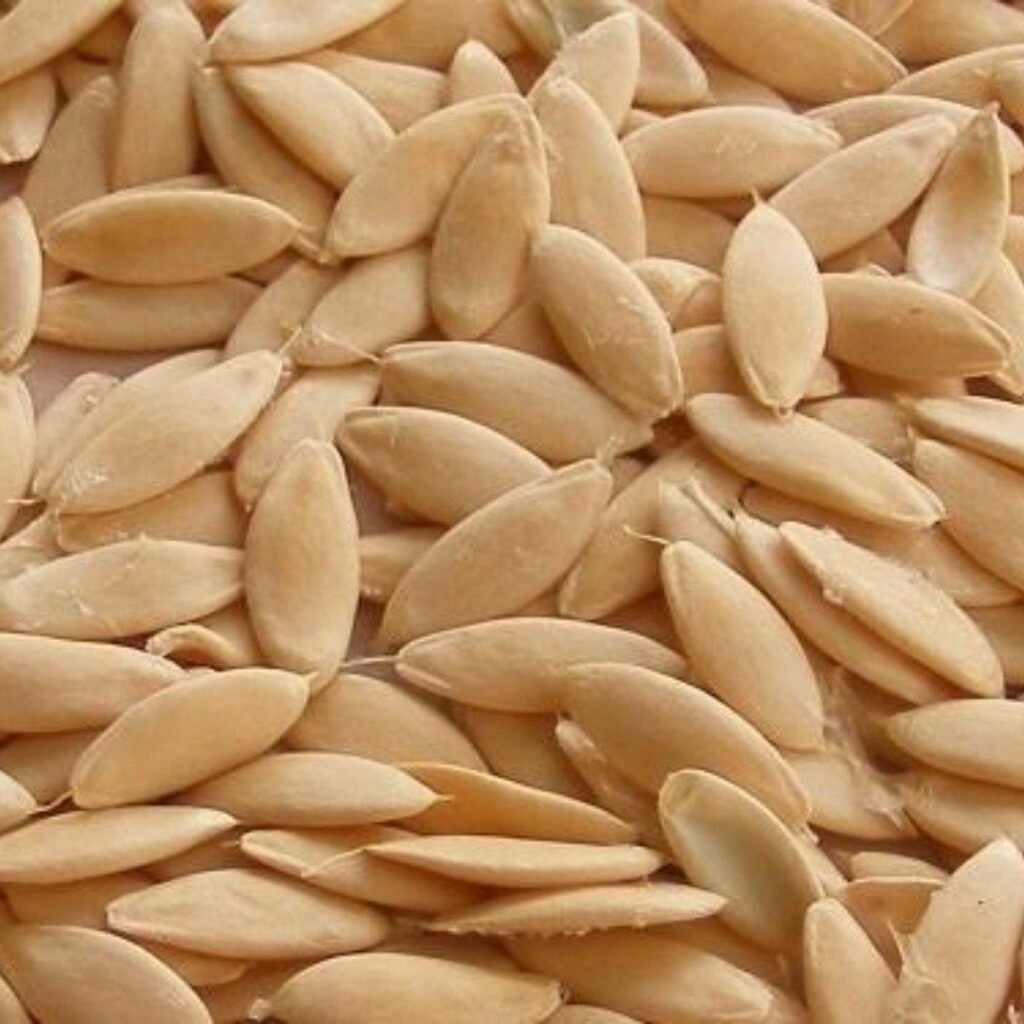 بذور الخيار