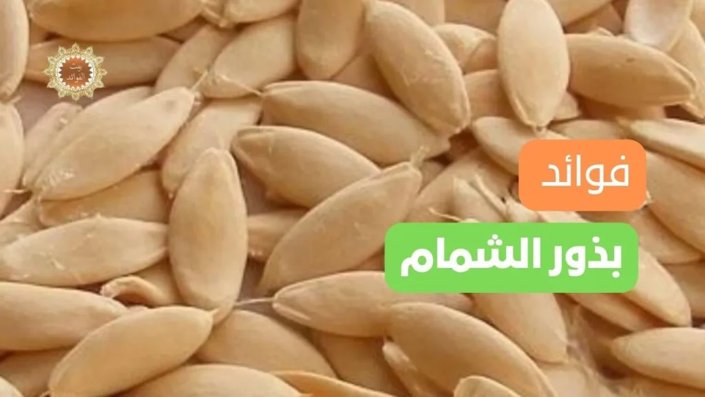 بذور الشمام