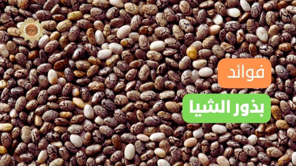 بذور الشيا