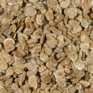 بذور الطماطم