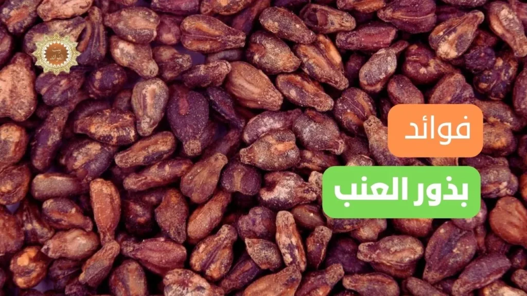 بذور العنب