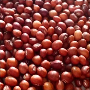 بذور القرنبيط