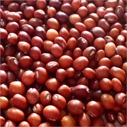 بذور القرنبيط