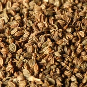 بذور الكرفس