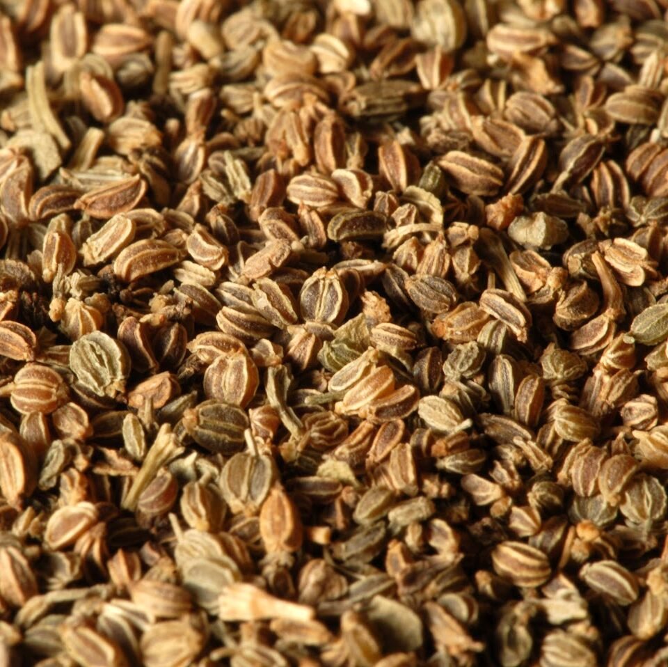 بذور الكرفس