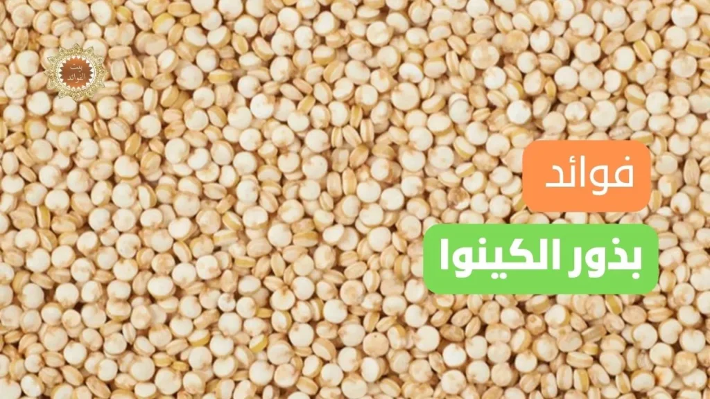 بذور الكينوا