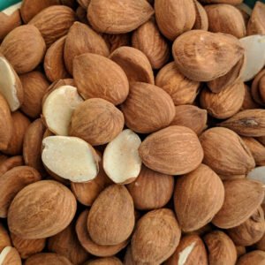 بذور المشمش