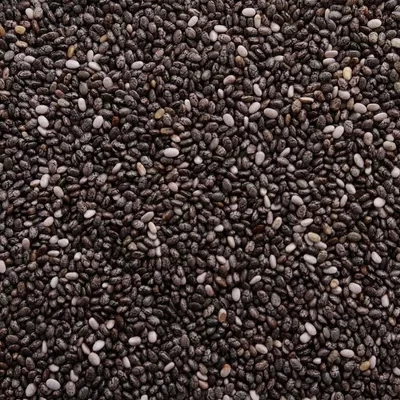 بذور النعناع