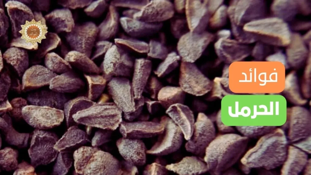 فوائد الحرمل