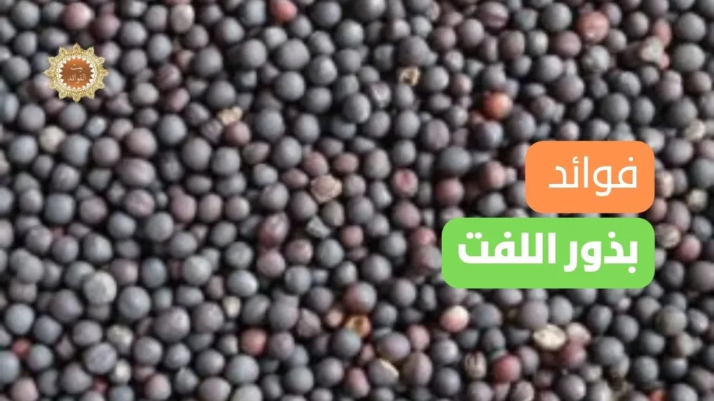 فوائد بذور اللفت