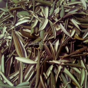 ورق الزيتون