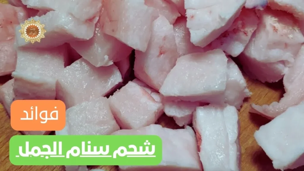 شحم سنام الجمل