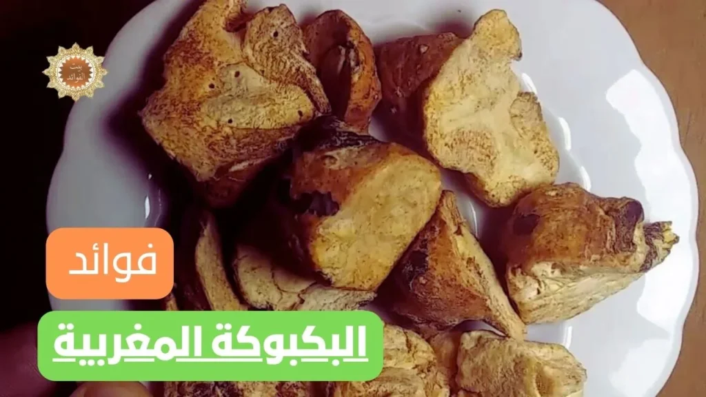 عشبة البكبوكة المغربية
