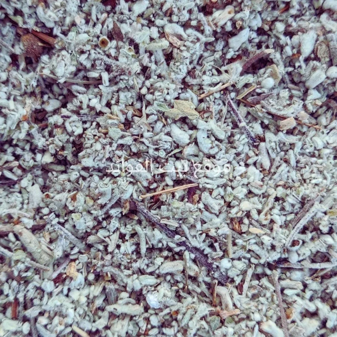 عشبة الخياطة