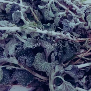 عشبة المريوت