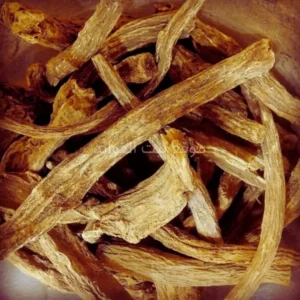 عشبة سرغينة