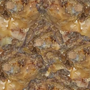 فاسوخ مغربي