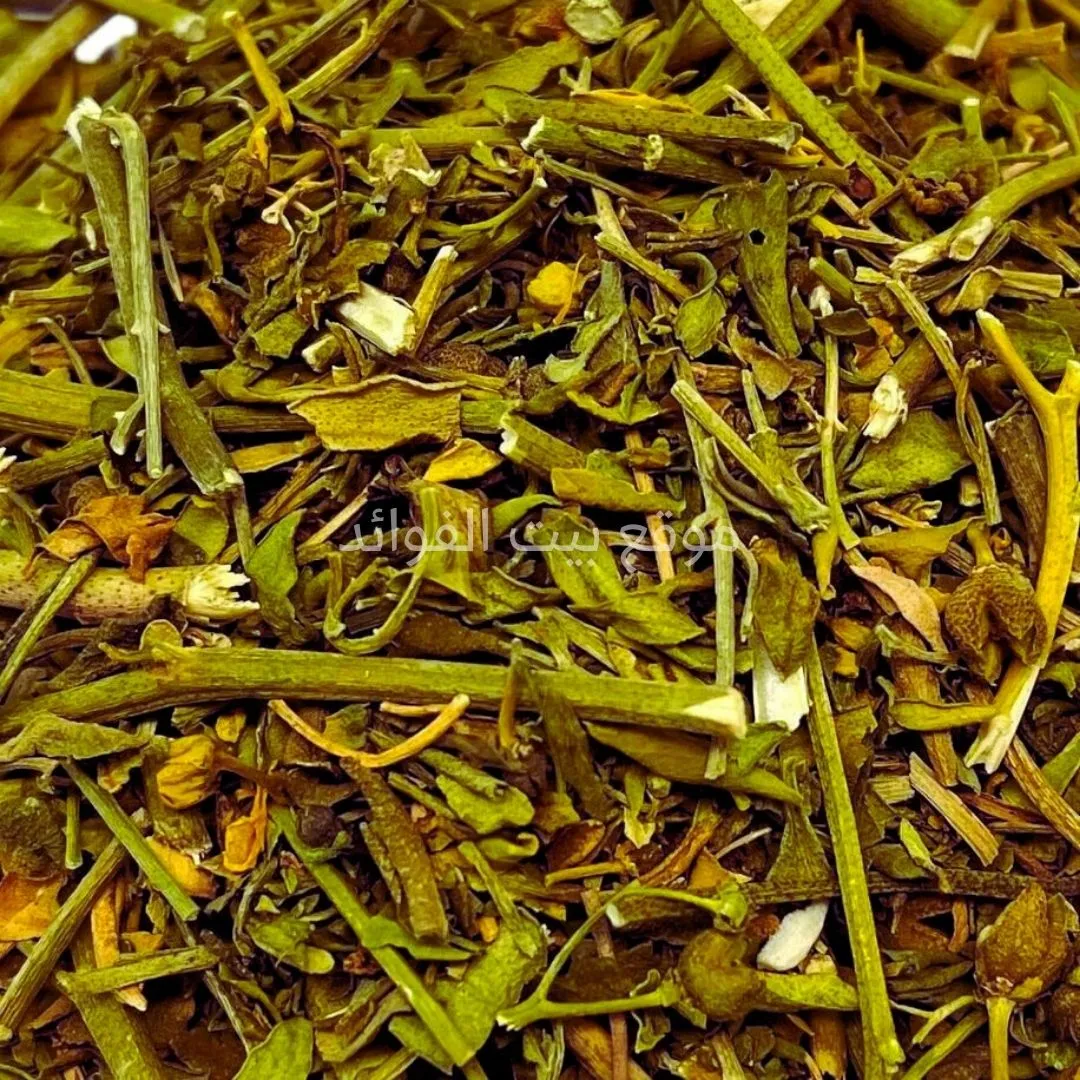 السذاب مجفف