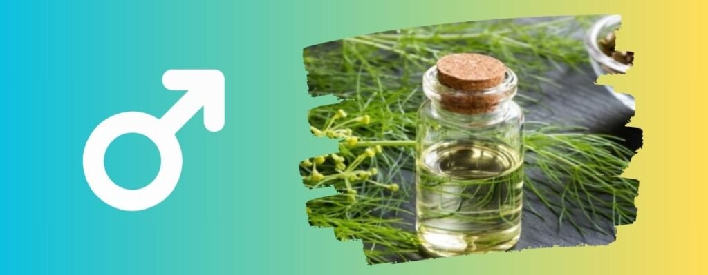 زيت الشمرلتكبير القضيب