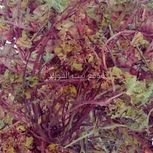 عشبة حياة النفوس