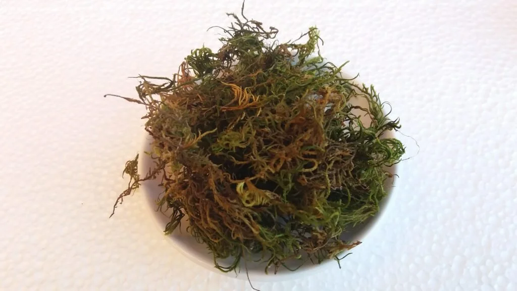 تكبير الذكر وتضخيمه في المنزل