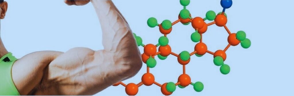 هرمون التستوستيرون واللياقة البدنية