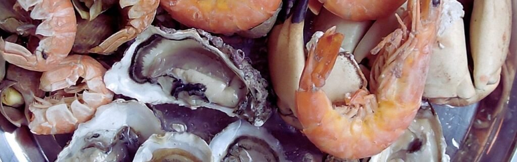 المحار والمأكولات البحرية