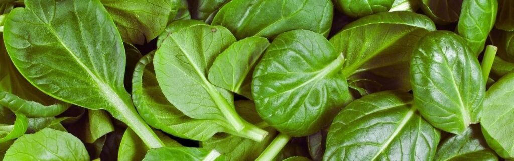 الاكل الذي يساعد على تكبير الذكر