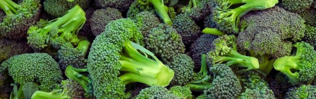 الاكل الذي يساعد على تكبير الذكر