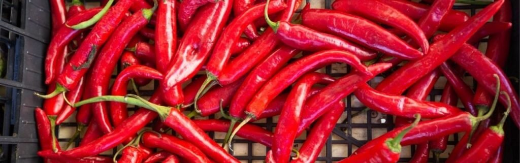 فلفل كايين الحار- من الاكل الذي يساعد على تكبير الذكر