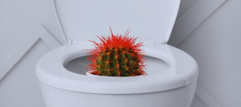 البواسير في المنزل