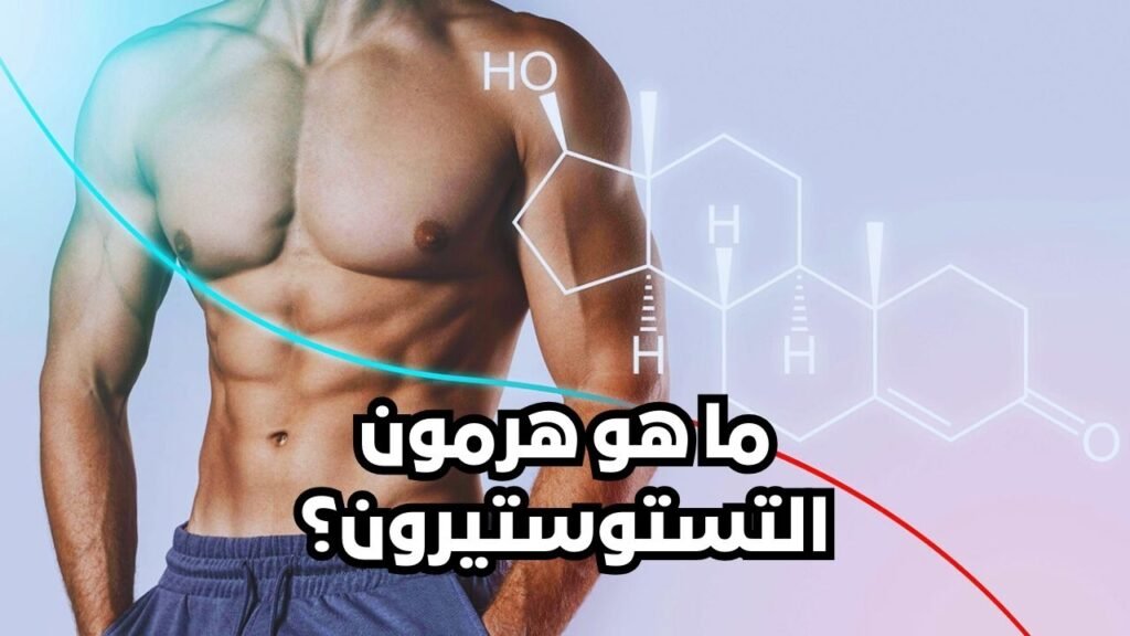 ما هو هرمون التستوستيرون؟