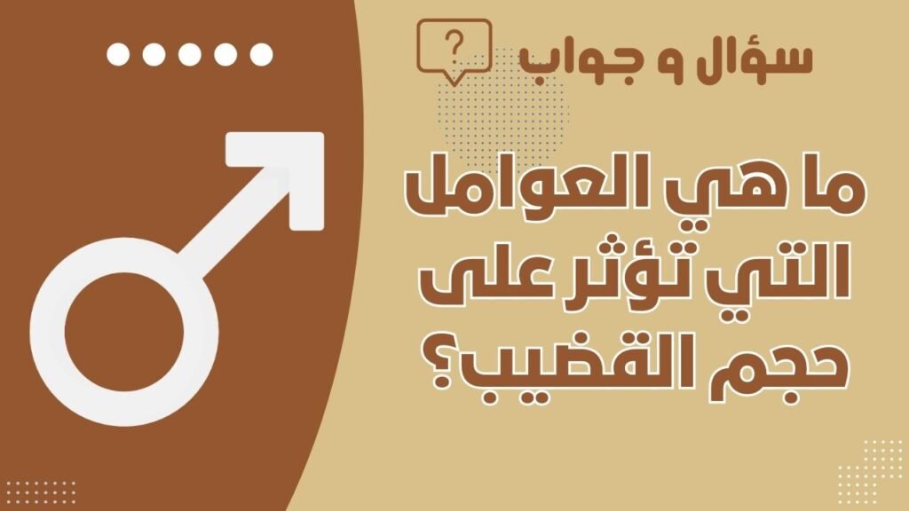 ما هي العوامل التي تؤثر على حجم القضيب؟